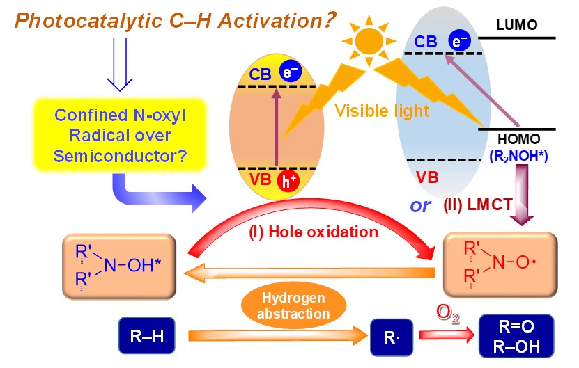 图片1_42399图片1